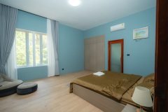 DSC08968-Enhanced-NR