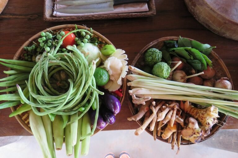 la plantation 1 768x512