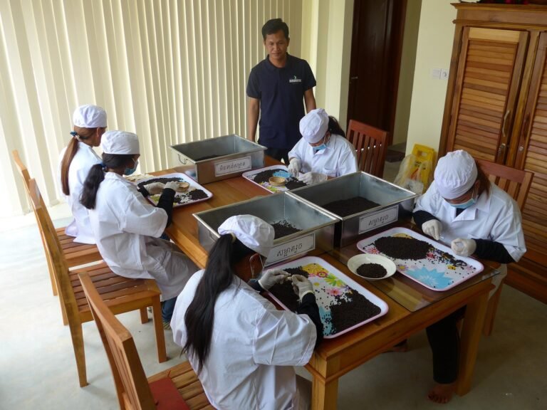 manual selection of premium 768x576