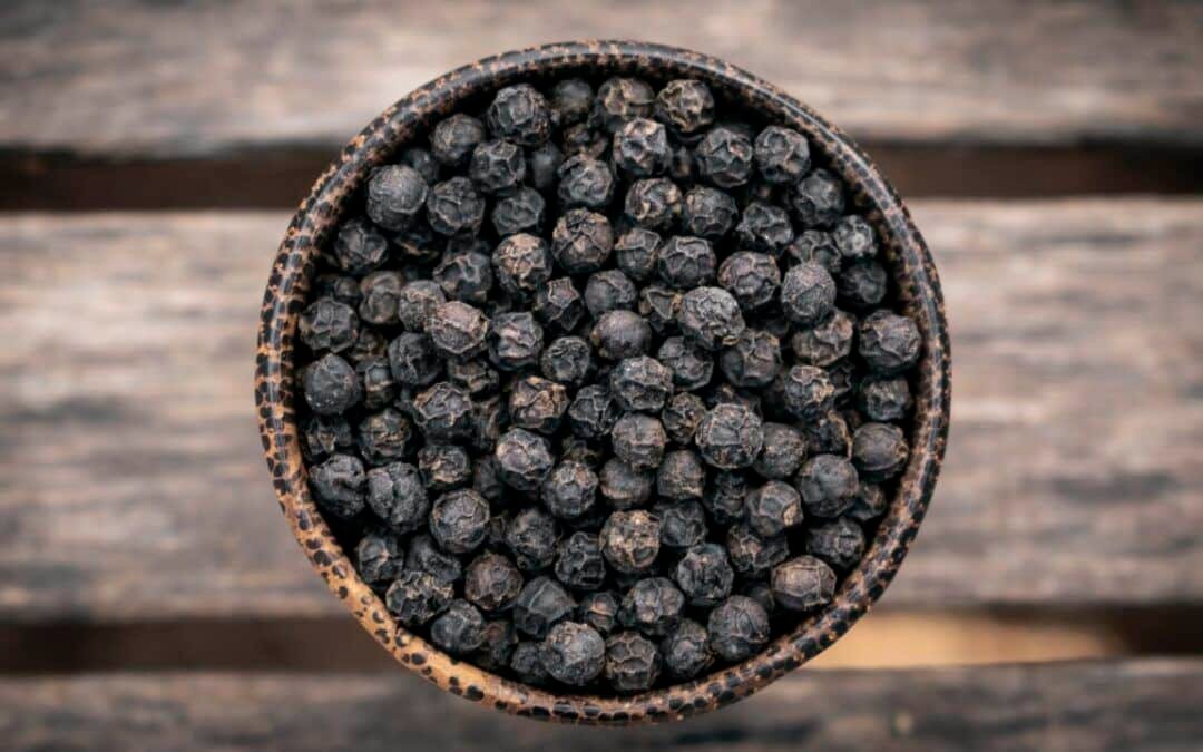 Pepper Plantation Tours: Discovering Kampot's World-Famous Black Gold