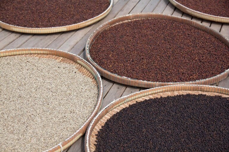 sothy s pepper farm 2 768x512