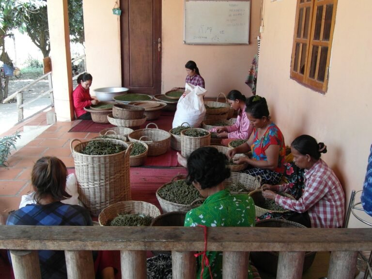 staff working at sothy 768x576