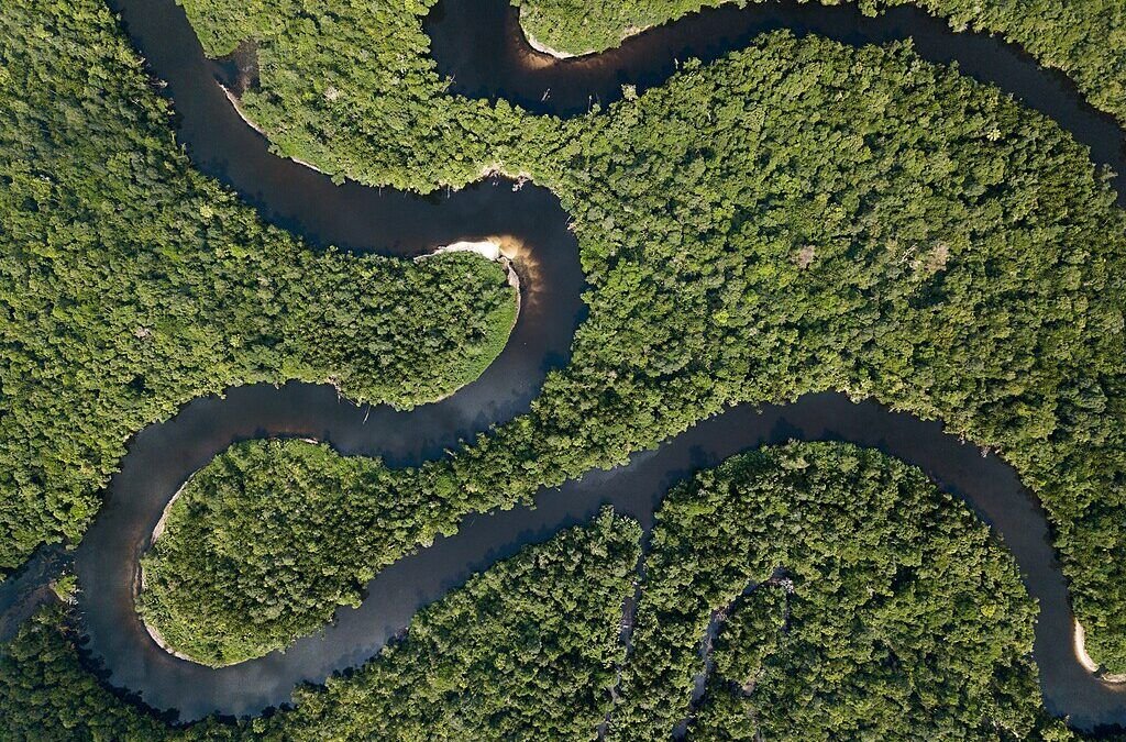 Cardamom Mountains Eco-Trekking: Cambodia's Last Great Wilderness Adventure