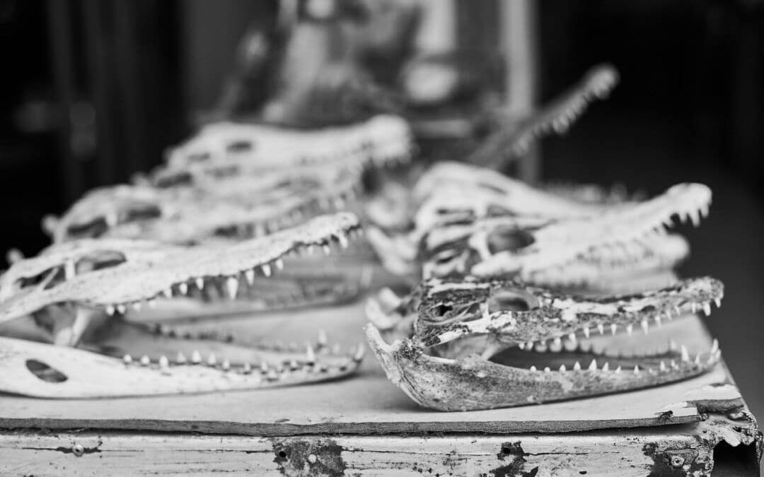 Traditional Craft Villages: Preserving Ancient Cambodian Artisan Skills