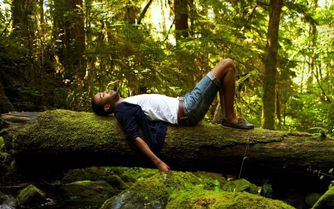 Forest Bathing in Cambodia: The Art of Shinrin-Yoku in Tropical Rainforests