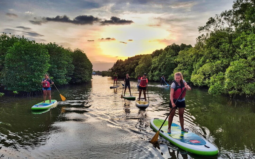 Stand-Up Paddleboarding in Southern Cambodia: Gliding Through Kampot's Calm Waters