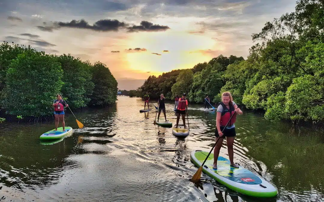 Stand-Up Paddleboarding in Southern Cambodia: Gliding Through Kampot&rsquo;s Calm Waters