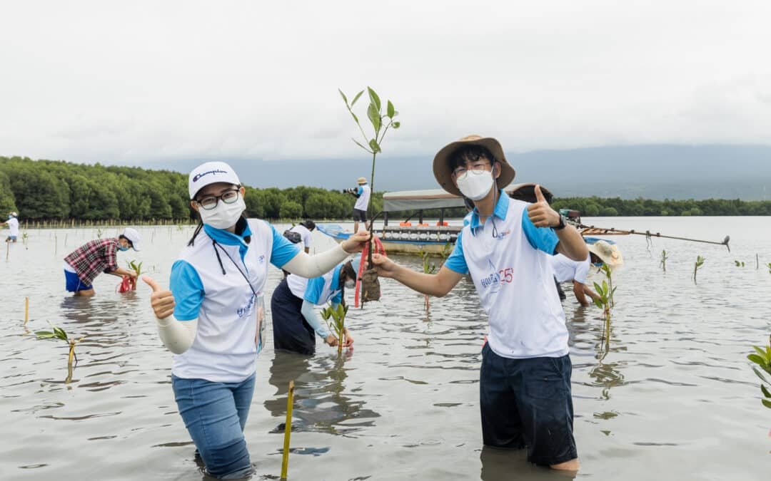 Mangrove Forests Near Kampot: Exploring Cambodia's Coastal Ecosystems