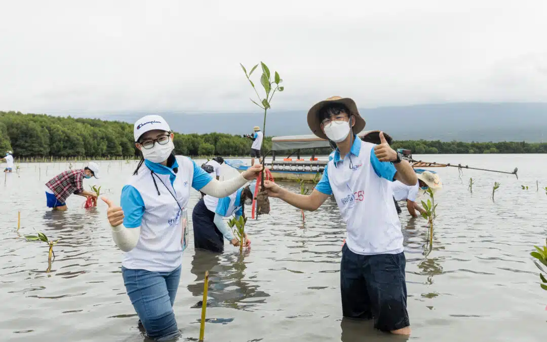 Mangrove Forests Near Kampot: Exploring Cambodia&rsquo;s Coastal Ecosystems